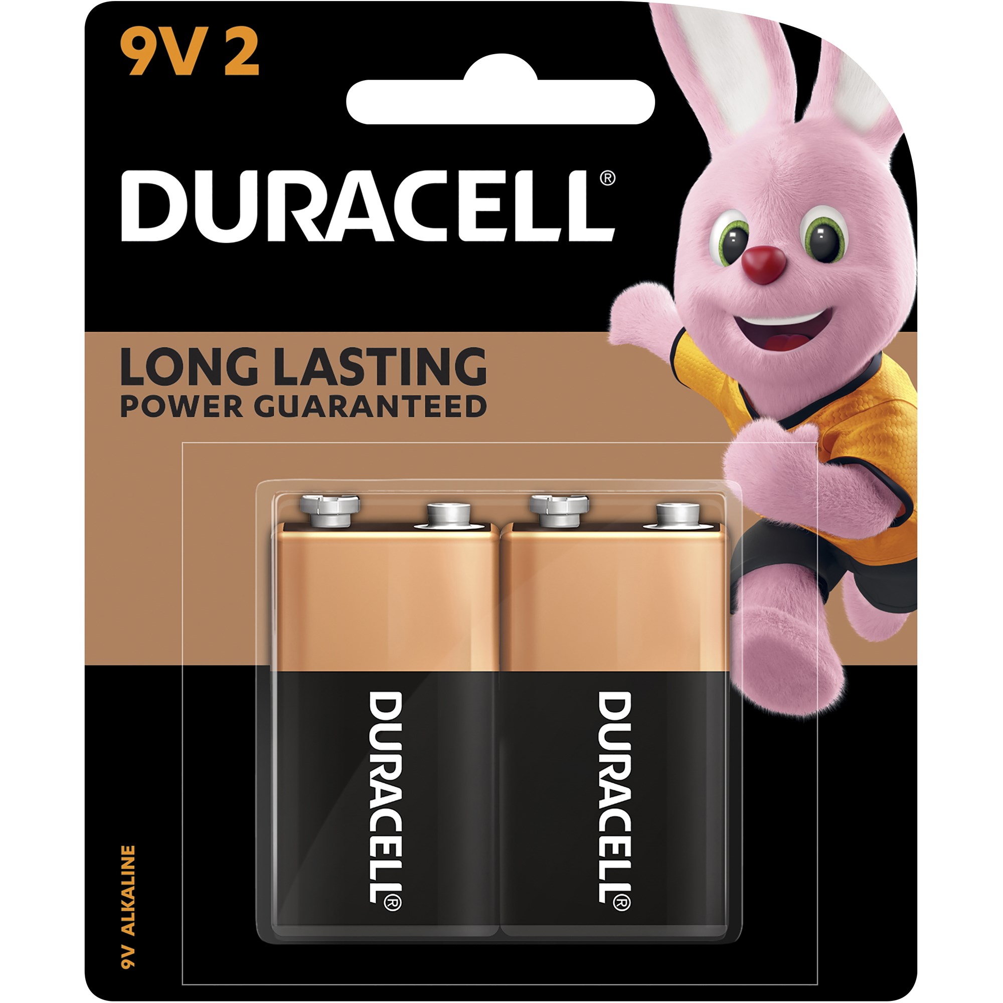 Duracell Coppertop Alkaline Battery 9V Pack  Of 2