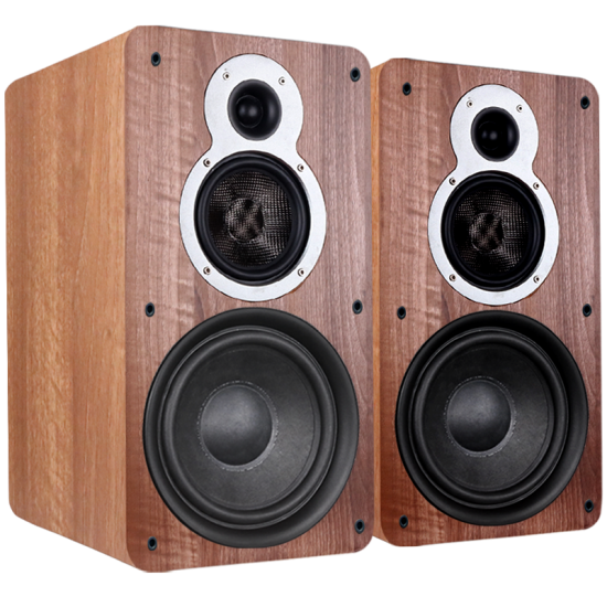 Tonewinner 440W Hi-Fi bookshelf speakers