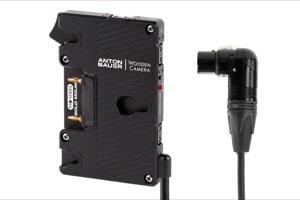 Wooden Camera WC Pro Gold Mount (4pin XLR Right Angle)