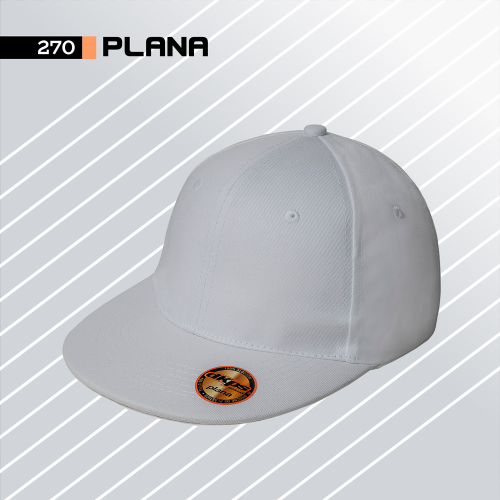 270 GORRA PLANA DKPS