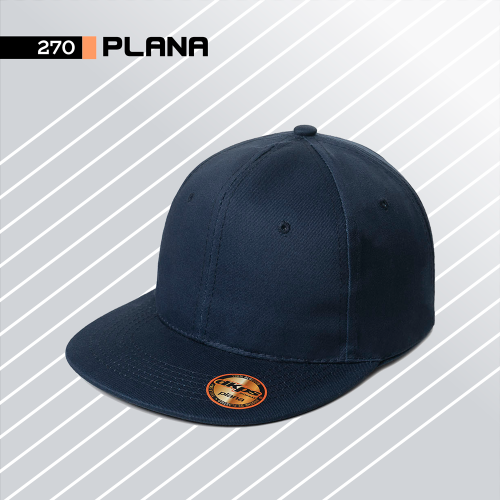 270 GORRA PLANA DKPS