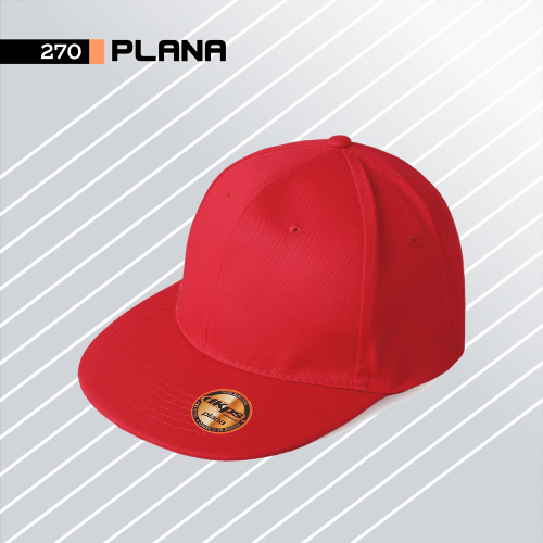 270 GORRA PLANA DKPS
