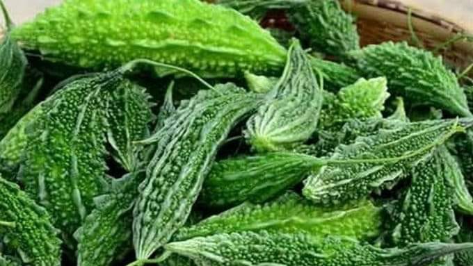 BITTER GOURD PAGARKAI (பாகற்காய்)