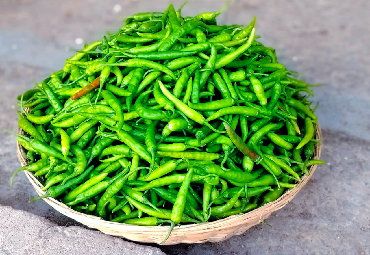 LONG CHILLI (நீள சம்பா மிளகாய்)