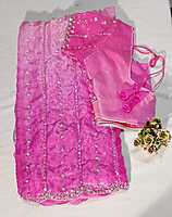 J252: Ready To Ship Beautiful Sequence Work Saree With Stitched Blouse J252: Ready To Ship Beautiful Sequence Work Saree With Stitched Blouse