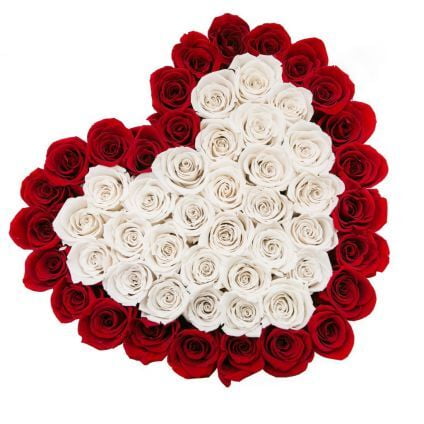 50 Heart shape white and red roses 50 Heart shape white and red roses