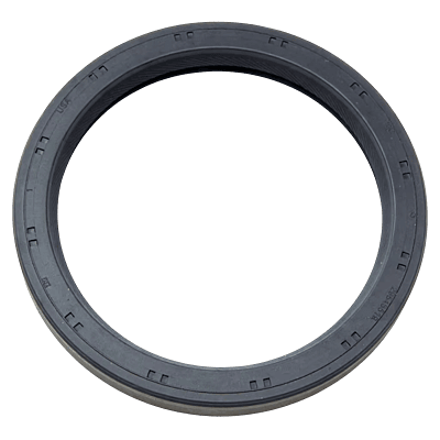 Seal Assembly-Encased