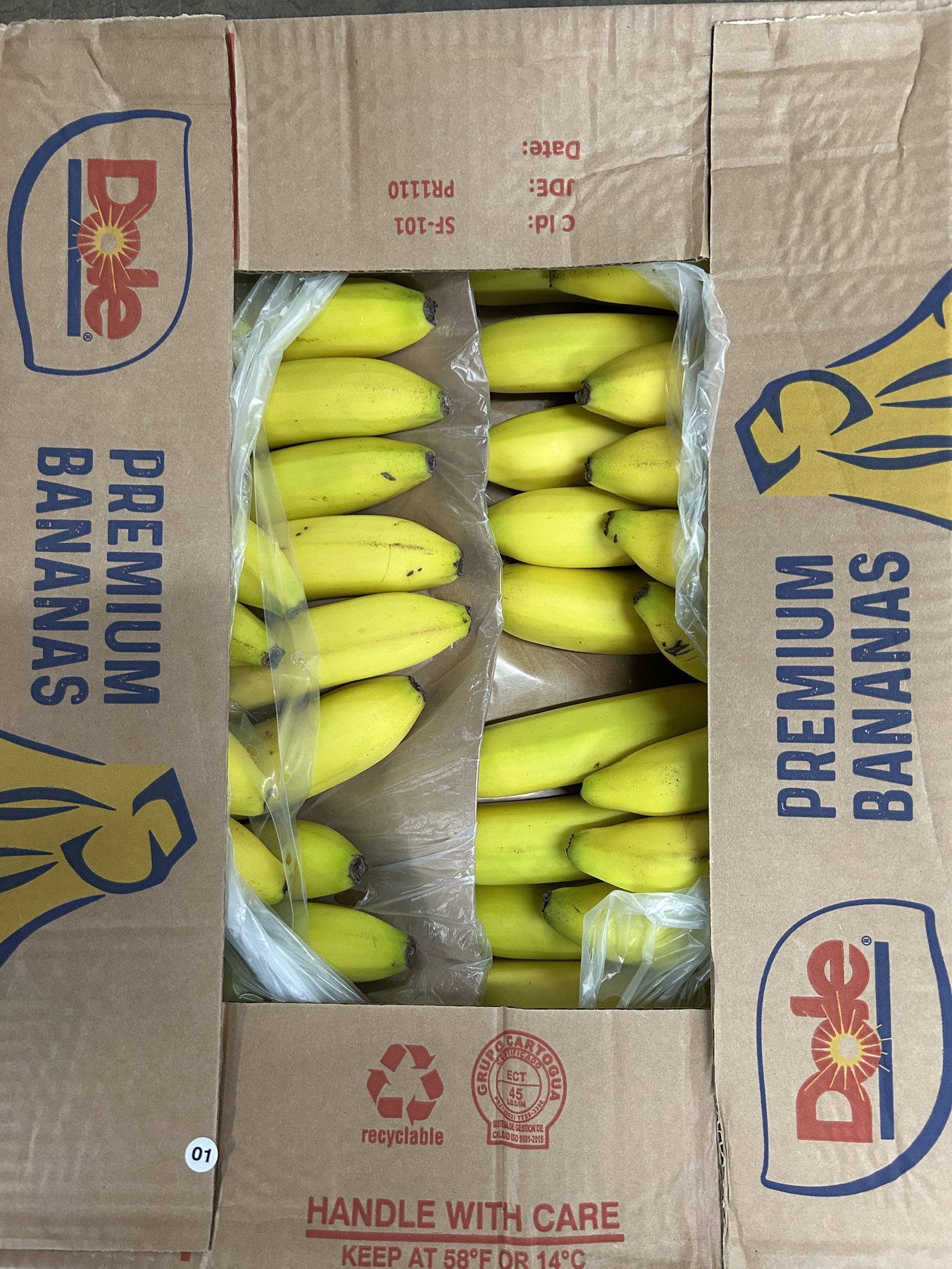 BANANA 40#