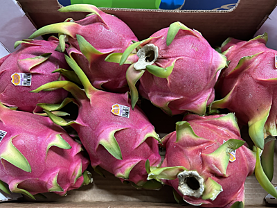 DRAGON FRUITS 10#