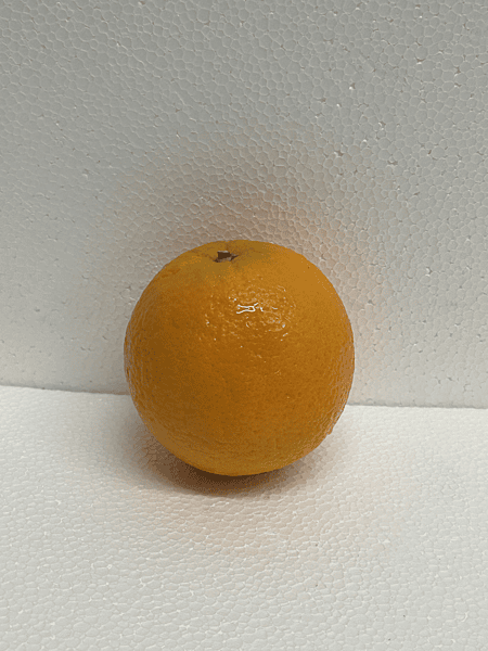 ORANGE NAVEL 48