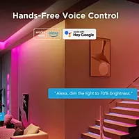 Govee Strip Light Segmented Color Control 5M Transparent Protective Epoxy Coating H612ABD1 RGB