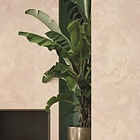 Gresie CAESAR, ANIMA FUTURA PINK ONYX 120X120 LUCIDATO, mp/cutie 1.44