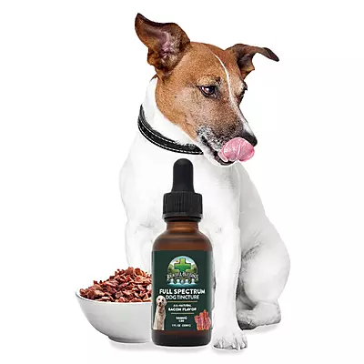 Pet Tincture