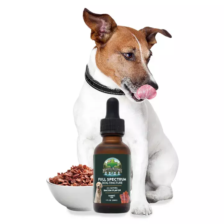 Pet Tincture