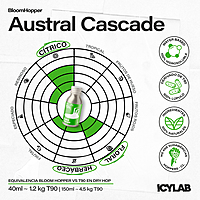 Bloom Hopper A.CASCADE 40ml