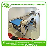 Date Sorting Machine – 3 Size Levels – Industrial Model