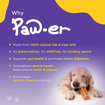 Yak Cheese Chew Original - L (4 Pcs)