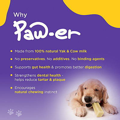 Yak Cheese Chew Turmeric - L (30 Pcs)