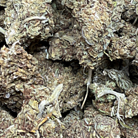 Mayoreo Cerrito Kush exterior regular
