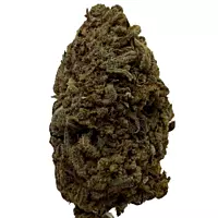 Pack "Marley y yo"