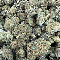 Northern Lights 2 Greenhouse