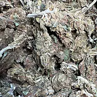 Amnesia Haze Exterior