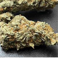 Invaders x Ghost Kong Indoor Hidropónica Premium