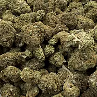 Sour Zkittlez Greenhouse Select