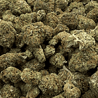 Sour Zkittlez Greenhouse Select