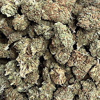 Maui Wowie Greenhouse Standard
