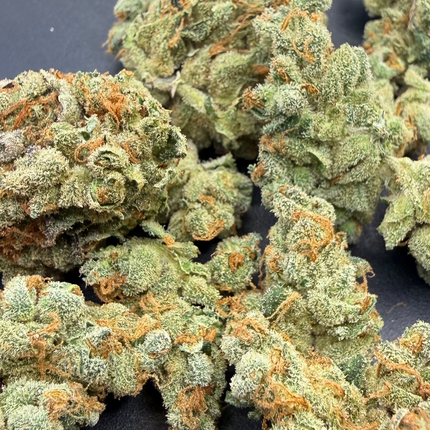 Chem Funk Indoor Hidropónica