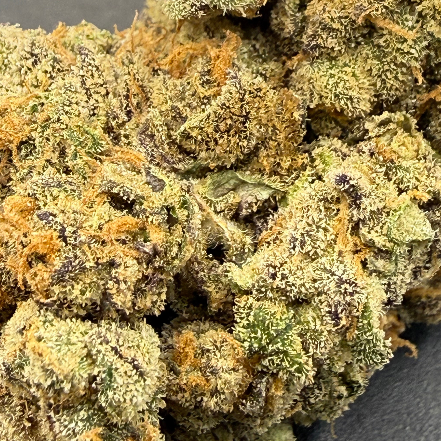 Martian Candy Nugget Indoor Hidropónica