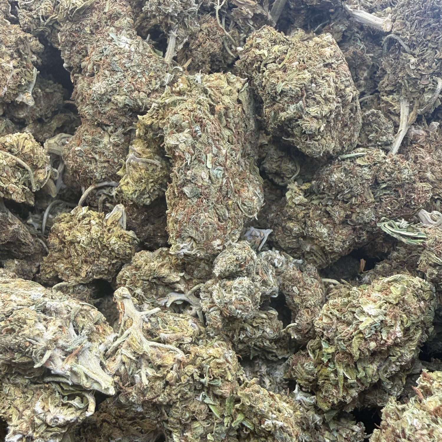 Pineapple Express flor exterior regular