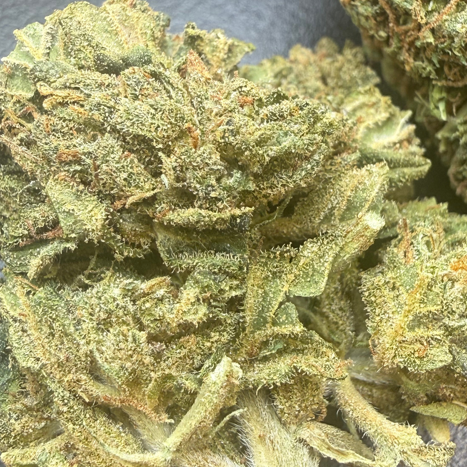Peach Indoor Clásica