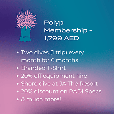 Coral Polyp Membership Tier Coral Polyp Membership Tier