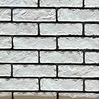 Bricks