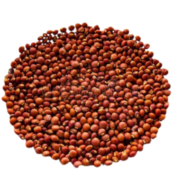Mandhhiram Brand Red Gram (Kandulu) For Pooja/Hawan 250g Pack