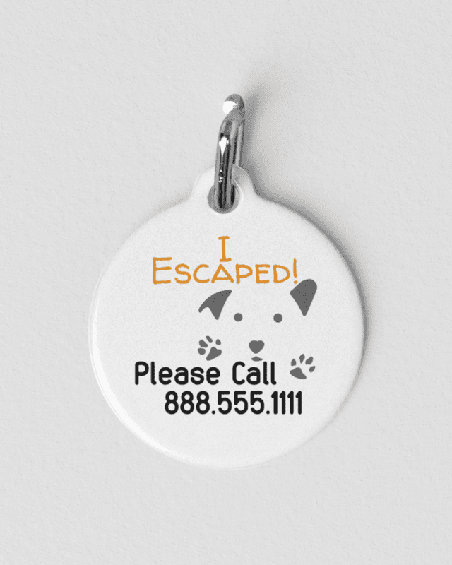 Personalized Pet Tag