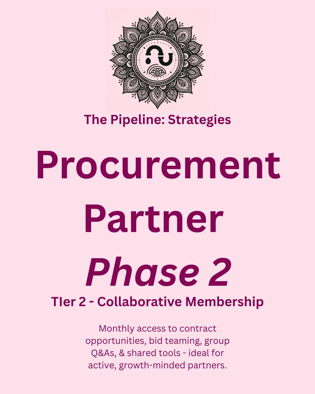 TPS Procurement Partner Phase 2 Collaborative Membership Tier