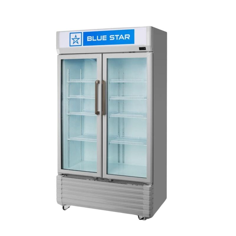 Shop Online Blue Star Visi Cooler VC590D-530 liters at Me shop