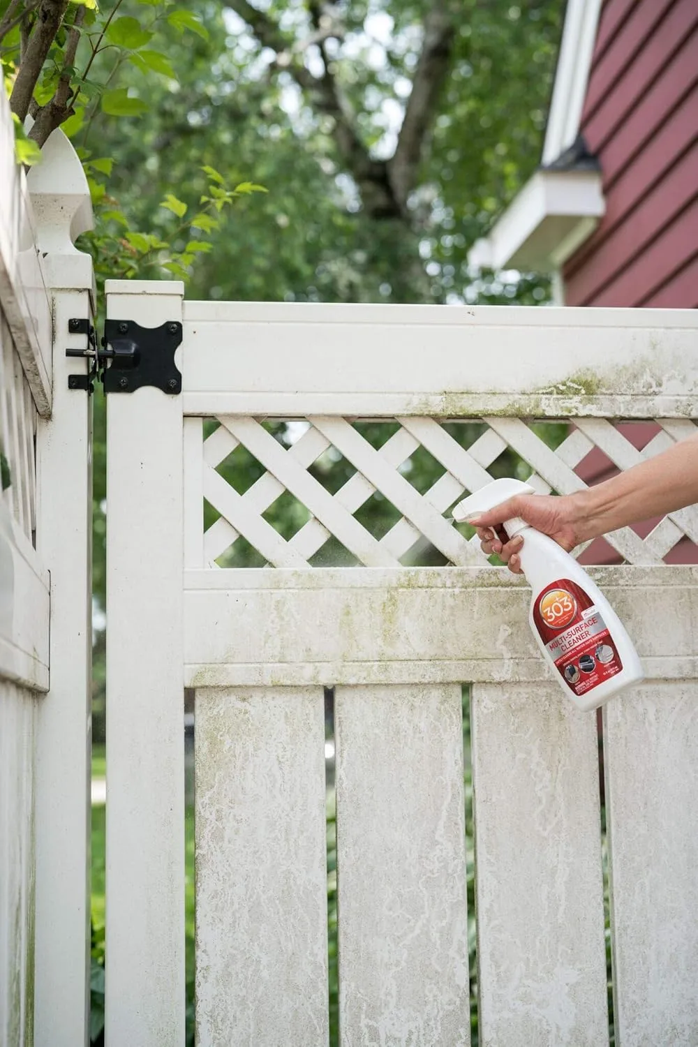 303 Multi-Surface Cleaner