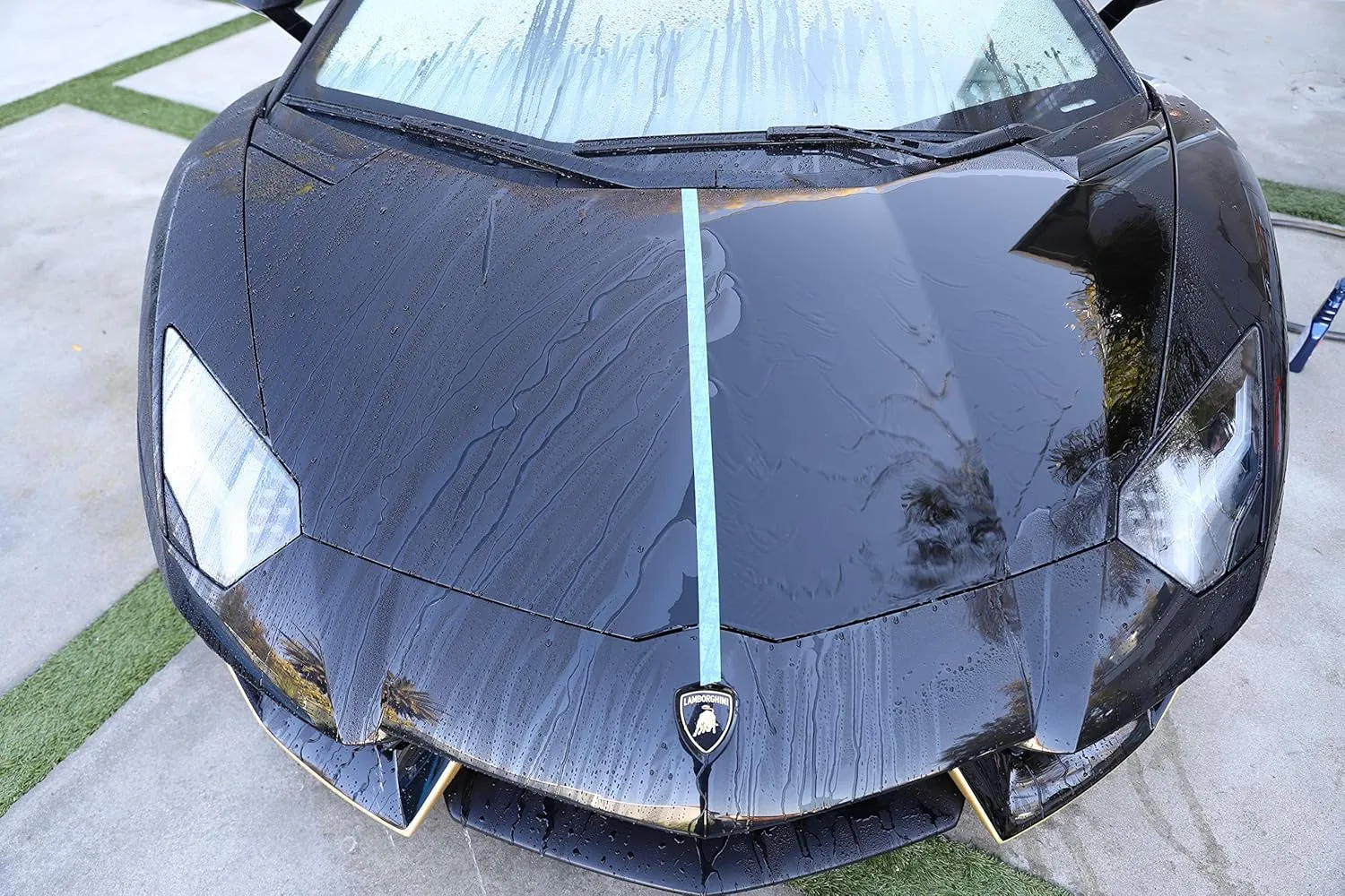 303 Products Touchless Sealant - SiO2 Technology - Water Activated Paint and Glass Protection - Spray On, Rinse Off