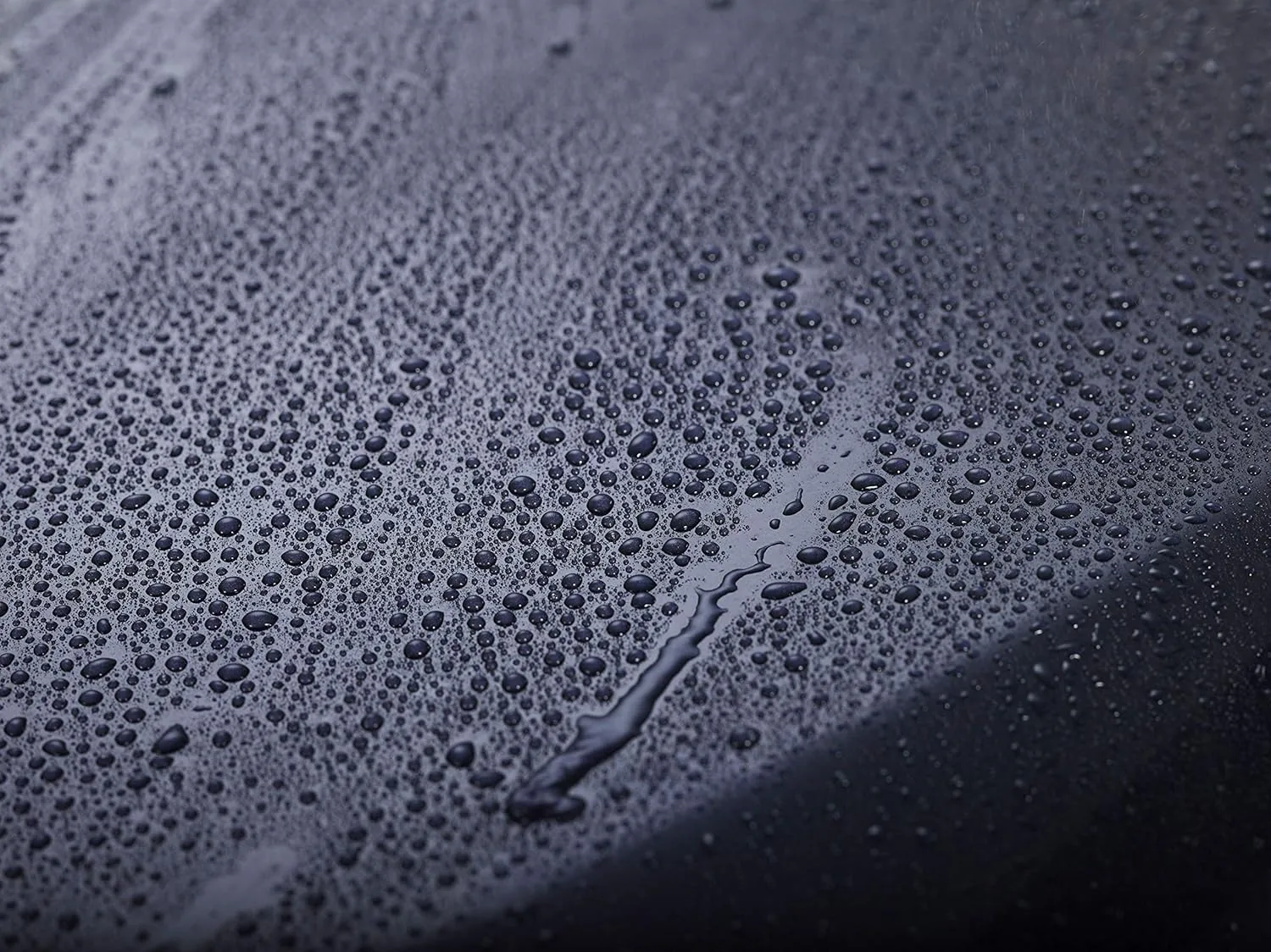 303 Products Touchless Sealant - SiO2 Technology - Water Activated Paint and Glass Protection - Spray On, Rinse Off