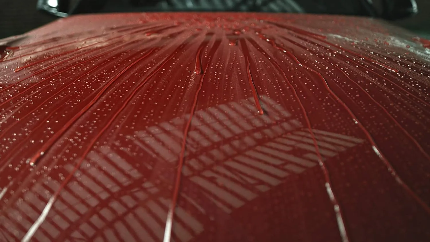 303 Products Touchless Sealant - SiO2 Technology - Water Activated Paint and Glass Protection - Spray On, Rinse Off