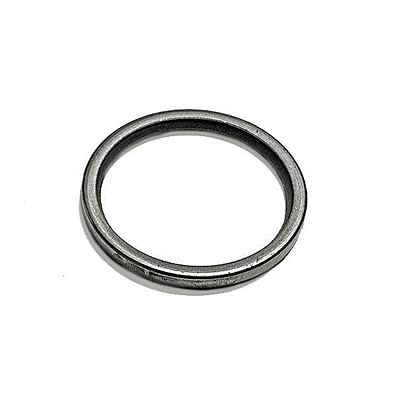 Thermostat Seal