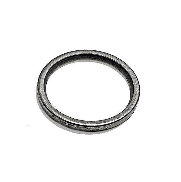Thermostat Seal