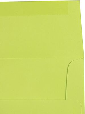 JAM PAPER Colored Envelopes