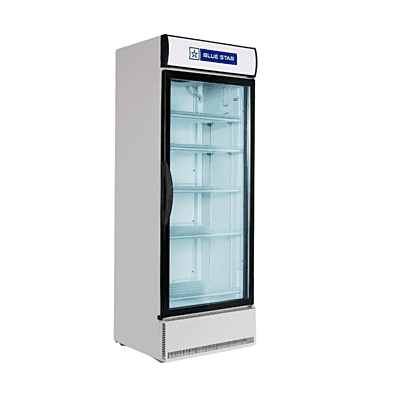 Large capacity deep freezer chest by Blue Star.