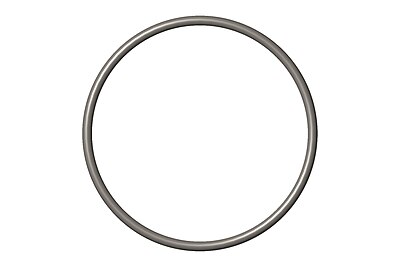O Ring Seal