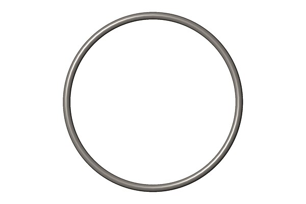 O Ring Seal